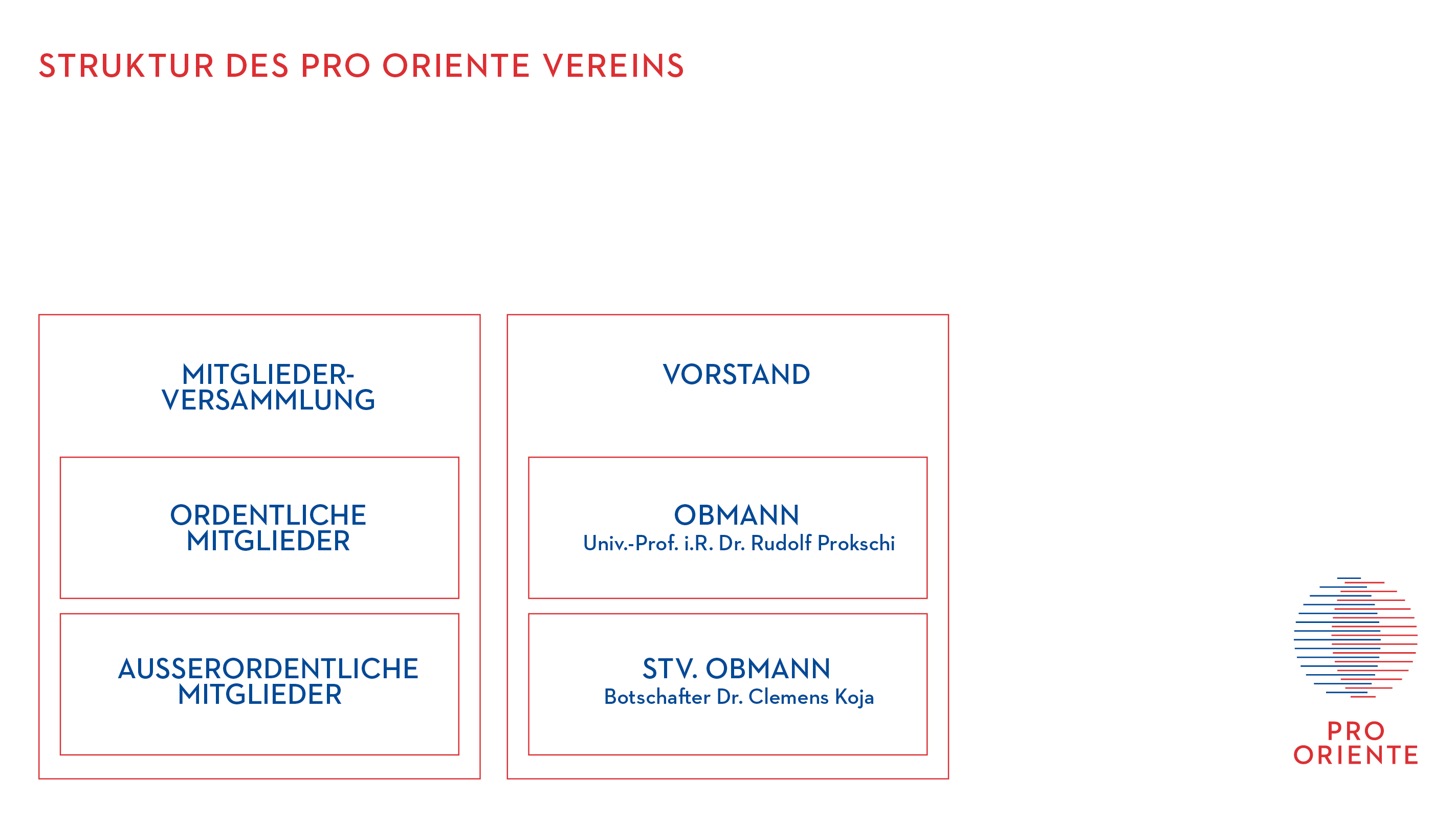 PRO Website Struktur Verein 250121